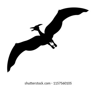 Pterosauria silhouette dinosaur jurassic prehistoric animal