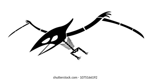 Pterosaurs skeleton in silhouette, vector art