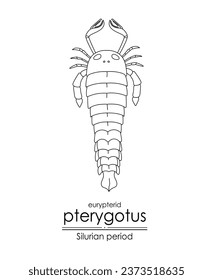 Pterygotus, a Silurian period eurypterid, a giant sea scorpion, black and white line art illustration. Ideal for both coloring and educational purposes