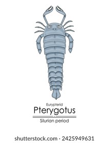 Pterygotus, a Silurian period giant sea scorpion,  colorful illustration on a white background