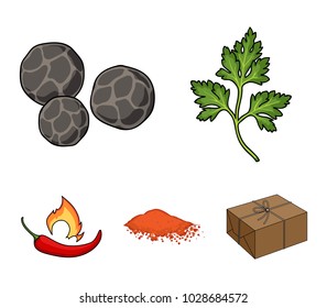 Ptrushka, black pepper, paprika, chili.Herbs and spices set collection icons in cartoon style vector symbol stock illustration web.