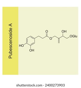 Pubescenoside A skeletal structure diagram.Hemiterpenoid molecule scientific illustration.