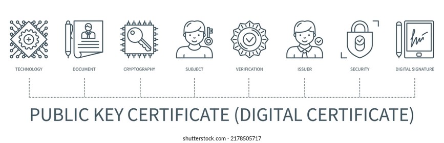 Public key certificate, digital certificate concept with icons. Technology, document, cryptography, subject, verification, issuer, security, digital signature icons. Infographic in outline style