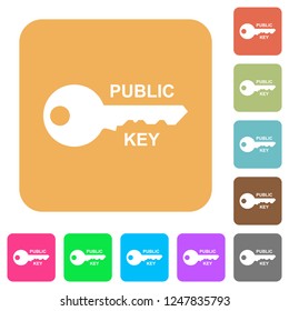 Public key flat icons on rounded square vivid color backgrounds.