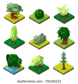 Public Park Decorative Trees Isometric 3D Set. Oak, Pine, Fir, Bush, Willow, Beech, Poplar, Green Grass, Vector Illustrations. Nature Elements Collection For Summer Park Landscape Design.