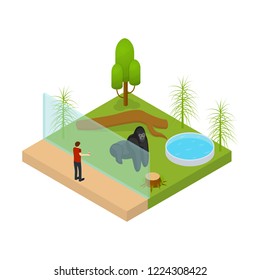 Public Zoo Concept 3d Isometric View Chimp at Zoological Garden. Vector illustration