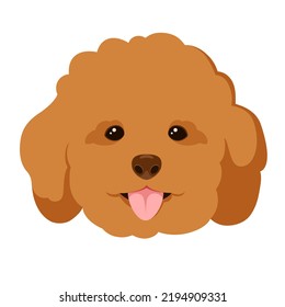 Pudding's head on a white background. Dog. Cartoon design.
