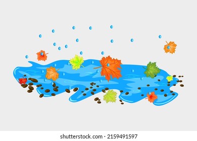 Puddle, raindrops and falling leaves isolated on white background. Autumn orange maple leaf floating in puddle in water.Fall season, wet weather, rain time, seasonal nature.Hello autumn concept.Vector