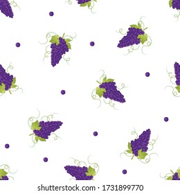 Pueple Grape on White Background. Vector Illustration.