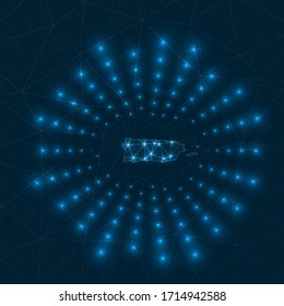 Puerto Rico digital map with glowing rays radiating from the country. Network connections and telecommunication design. Vector illustration.
