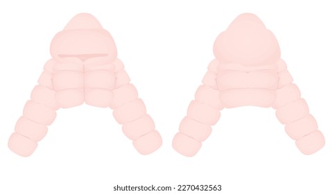 Puff crop jacket. vector illustration
