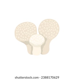 Puffball mushrooms. Fungus with a ball-shaped body. Vector cartoon illustration with texture isolated on the white background.