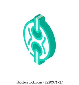 gepuffte Marinerkette isometrische Ikone Vektorgrafik. gepufftes Schild der Marinerkette. einzelne Symbolillustration
