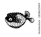 Puffer or barbed fish sketch style. Sea animal vector vintage illustration