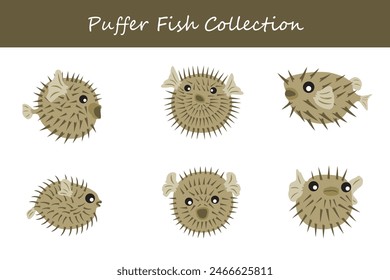 puffer fish collection. puffer fish in different poses. Vector illustration.