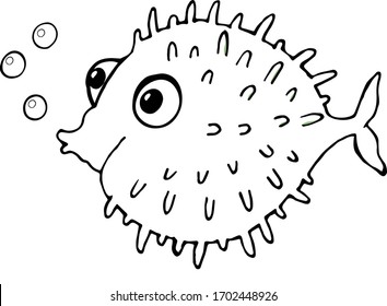 the puffer fish. drawing illustration vector cartoon coloring