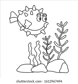 Puffer fish, hedgehog Fish, marine life. Cute character and seaweed . Hand drawn coloring book . Vector illustration.
