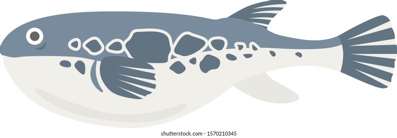 Puffer fish Illustration.
Illustration of fish.