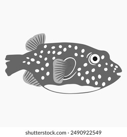 puffer fish illustrations on white backgroun