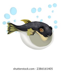 a puffer fish, inflated like a balloon, with some air bubbles, no background