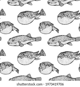 Puffer fish seamless pattern. Hand drawn vector fish. Sea, river or ocean fish. Design for fishing catch or fisher sport club. Fish market, menu seafood. Design template, banner