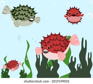 pufferfish, green puffer fish sponge seaweed cartoon marine vector characters