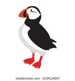 Puffin bird. Fratercula arctic. Rare birds. Red Book. Vector illustration