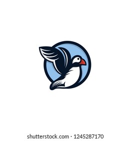 Puffin Bird Logo vector Illustration template