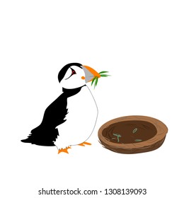 Puffin bird making nest vector isolated