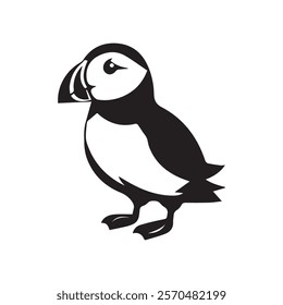 Puffin bird vector art illustration.