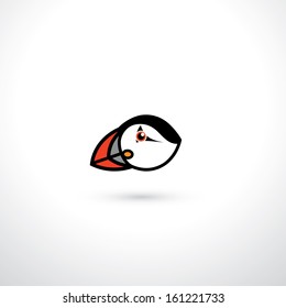 Puffin bird - vector illustration