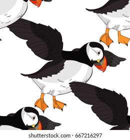 Puffin bird vector illustration