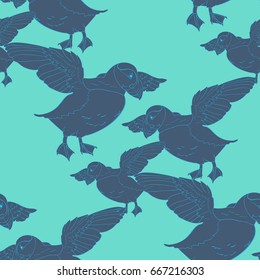 Puffin bird vector illustration