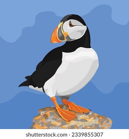 Puffin bird vector illustration isolated on blue background. Realistic Style Design