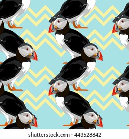 puffin bird vector, puffin seamless vector