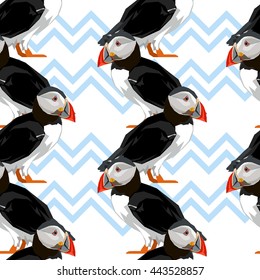 puffin bird vector, puffin seamless vector