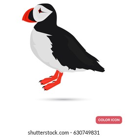 Puffin color flat icon for web and mobile design