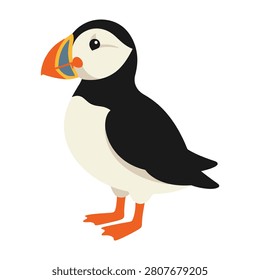 A puffin with distinctive orange beak and feet standing on ground looking left