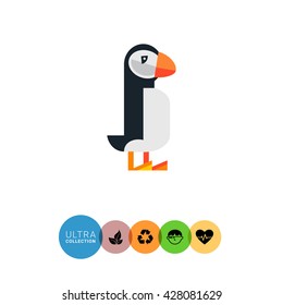 Puffin flat icon