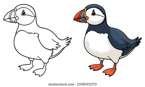 Puffin Line Art Vector Outline Illustration Black and White with Coloring Sample