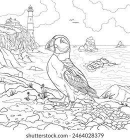 Puffin perched on a rocky cliff edge . Vector coloring book page design.