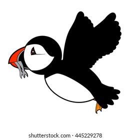 puffin vector illustration on white background