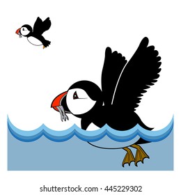 puffin vector illustration on white background svg