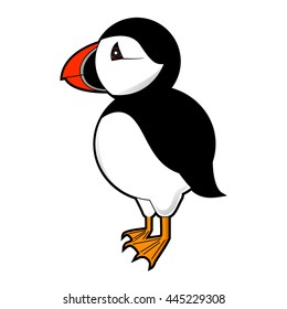 puffin vector illustration on white background