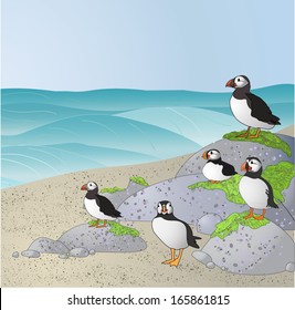 Puffins on the beach. Vector illustration.