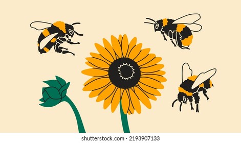 Puffy bumblebees or Bees flying towards yellow sunflower. Bee collects pollen. Spring, summer, nature concept. Hand drawn modern isolated Vector illustration. Logo, print, design template