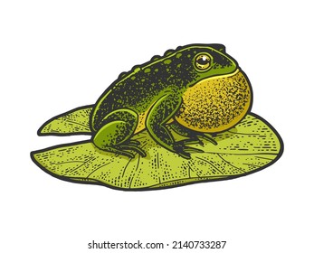 Puffy inflated toad frog on a water lily leaf color sketch engraving vector illustration. T-shirt apparel print design. Scratch board imitation. Black and white hand drawn image.