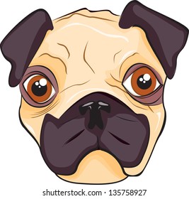 Pug