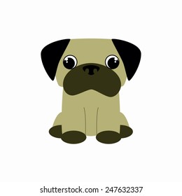 Pug 