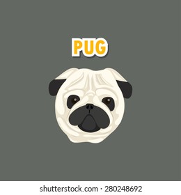 pug
